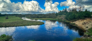 1 Lakseskole%20ved%20Skjern%20å%20og%20ved%20Store%20å%20(9) % - fishingweeks