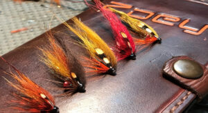 Fluer til Skjern aa % - fishingweeks